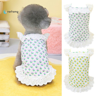 Nerhemg chó công chúa đầm ren viền đáng yêu họa tiết hoa tulip hoa thú cưng chó mùa hè đầm thú cưng đồ dùng cho thú cưng