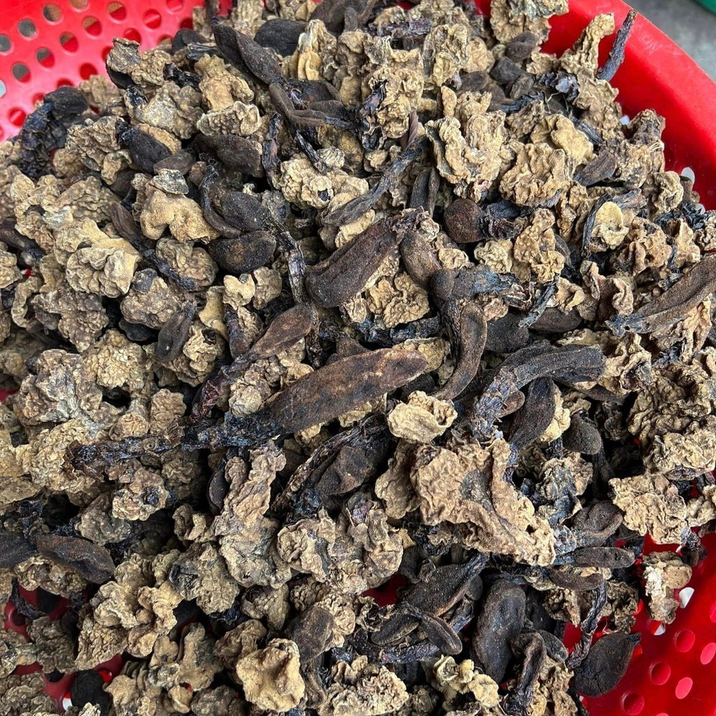 Nấm ngọc cẩu khô ngâm rượu loại 1. Nấm toả dương, tích dương, ngọc cẩu tím, vàng bổ thận tráng dương, tăng cường sinh lý
