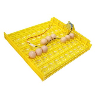 Mới 56 Trứng Máy ấp Xoay Khay Gia cầm Thiết bị ấp gà Vịt Và Máy ấp trứng gia cầm khác Tự động biến trứng