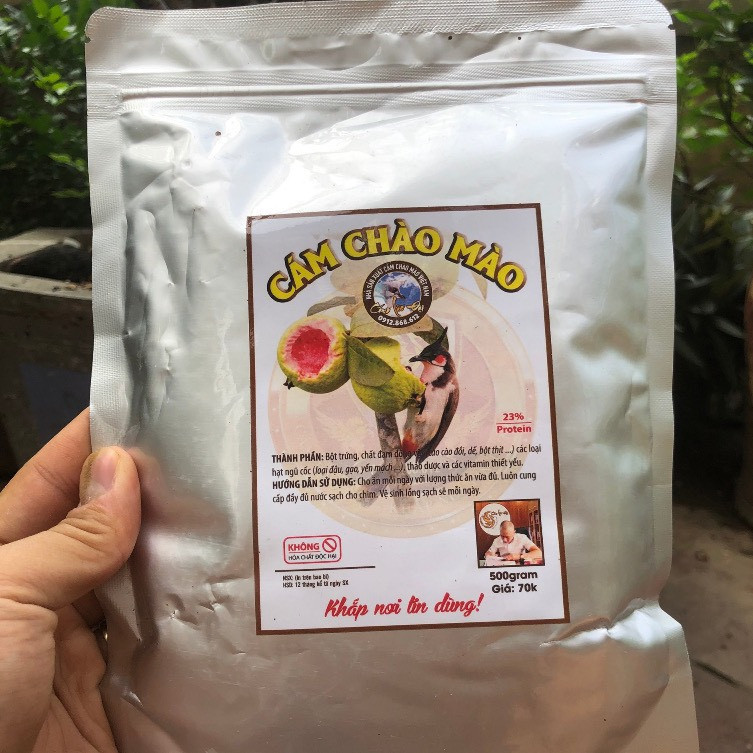 CÁM CHÀO MÀO (BỔI-MỘC) - LÃO ĐẠI