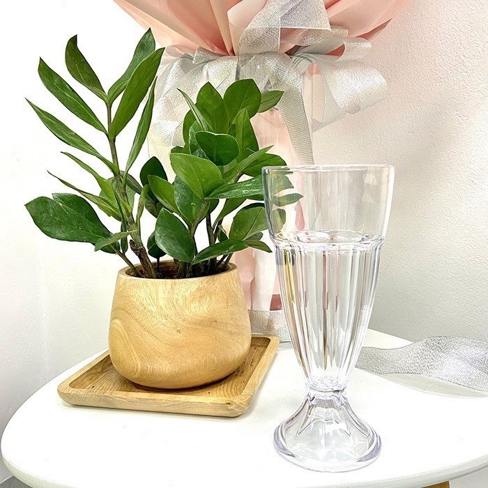combo 10 Cốc ly nhựa meca sinh tố nước ép nhựa 350 ml
