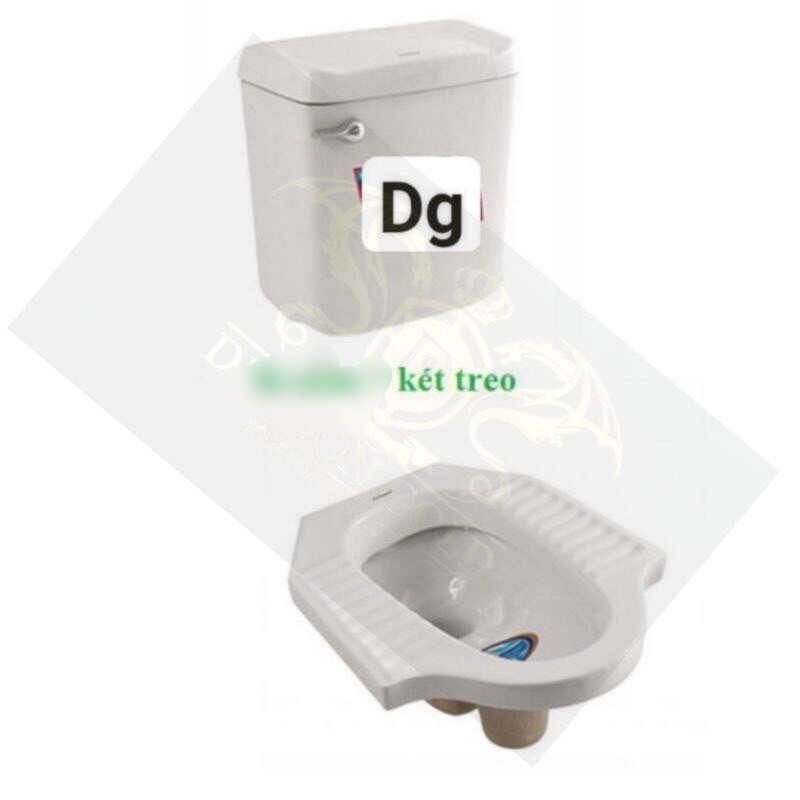 Két bệt xí, Két bệt vệ sinh xổm, thùng xả nước cho bệt xổm, (ko bồn cầu)