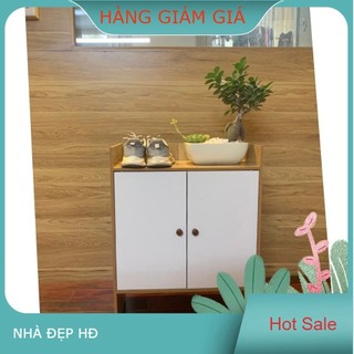  Tủ giày thông minh, Tủ giầy dép 2 CÁNH LOẠI TỐT