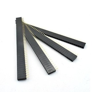 Hàng rào cái, đơn, lỗ vuông, chân thẳng 40 pin