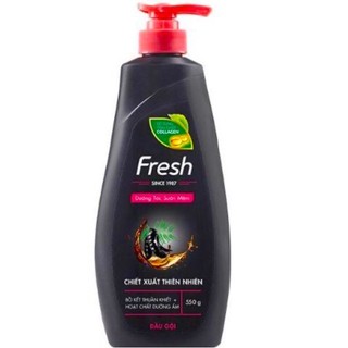 Dầu gội Fresh - Bồ kết 550g