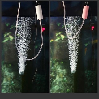 Bể cá cầm tay Máy bơm không khí oxy Mini nhỏ Bể cá USB Máy nén khí im lặng Máy sục khí