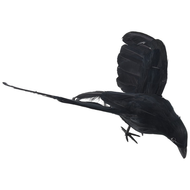 Halloween chống đỡ lông chim quạ lớn 25x40cm dang rộng cánh Đồ chơi mô hình quạ đen, Đạo cụ biểu diễ