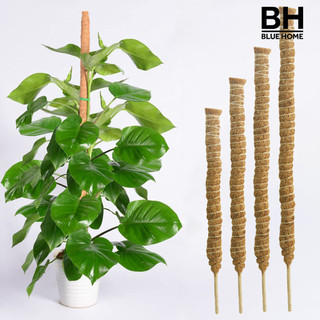 [Bh] Trellis Leo Cây Đa Năng Hỗ Trợ Tốt Có Thể Uốn Cong Handmade DIY Miễn Phí Dừa Lụa Hỗ Trợ Cho Sân Vườn