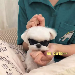 Kính vui nhộn cho thú cưng Kính râm cá nhân cho chó mèo