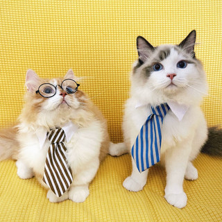 Thú Cưng Mèo Chó Quý Ông Nơ Lễ Hội Cổ Chó Con Đẹp Trai Anh Ngắn Con Rối Buộc Ảnh Chống Đỡ