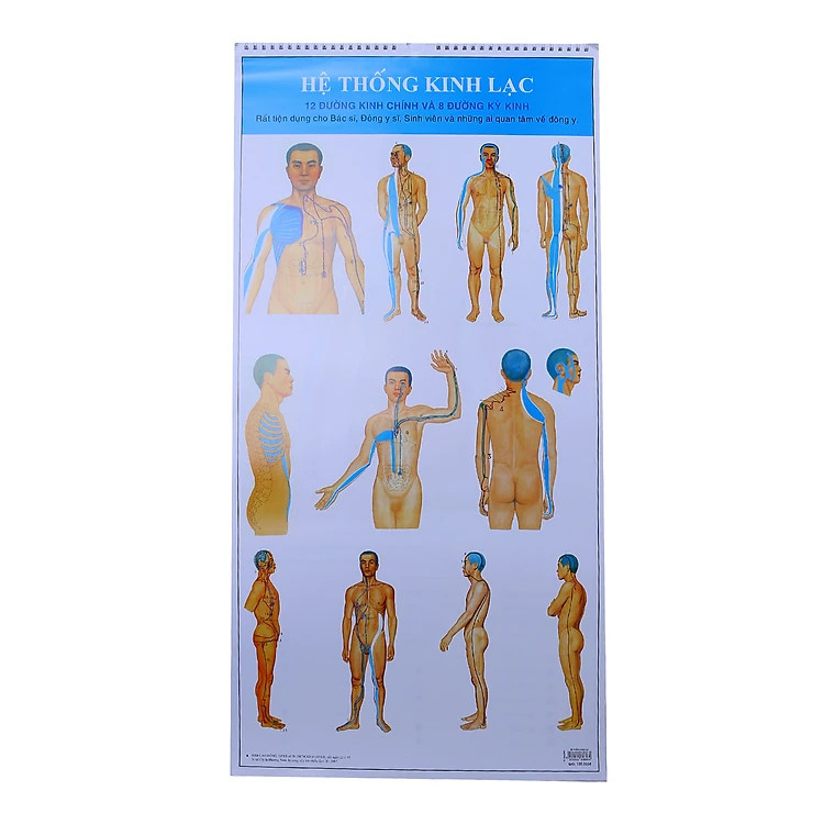 Sách - Tranh Hệ Thống Kinh Lạc - 12 Đường Kinh Chính Và 8 Đường Kỳ Kinh (21 Tờ)
