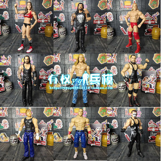 Arena Wrestler Mattel Đấu Vật Búp Bê 23.3cm Búp Bê Hành Động Hình Hình Mô Hình Đồ Trang Trí Flair Senna Hardy