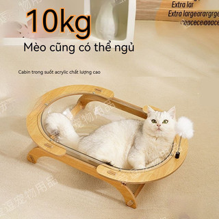 Mèo UFO Ổ Mèo Hình Bầu Dục Trong Suốt Acrylic Không Dính Lông Dễ Chăm Sóc Bồn Tắm Ngủ Phơi Nắng Giường Mèo