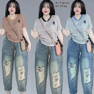  Áo Thun Gân Tăm Nữ Tay Ngắn Bigsize Cổ V Sọc Ngang Thêu Gấu Xinh Đẹp Dễ Thương Giá Rẻ Freesize 45-95kg 