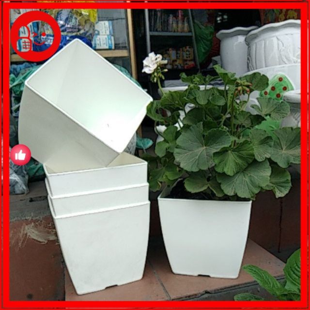 Chậu nhựa vuông V16 trồng hoa, cây cảnh văn phòng chất lượng cao, kích thước 16x16x16cm kèm đĩa.