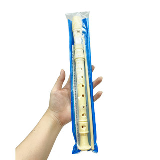 Sáo recorder 6 lỗ cao cấp - nhạc cụ cho học sinh lớp 6
