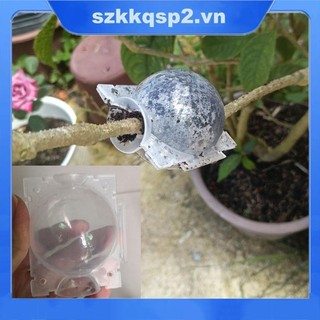 5cm Cây Cây Rễ Bóng Cây Rễ Cây Trồng Hộp Đựng Ghép Rễ Trồng Hộp VNK2