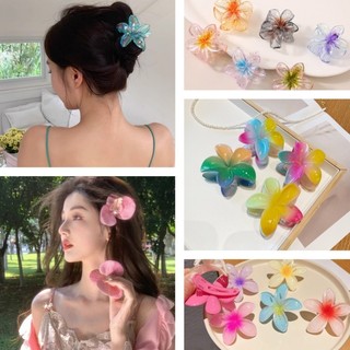 Nóng Nhiều Màu Sắc Hình Hoa Kẹp Tóc Ins Dễ Thương Kẹp Tóc Thời Trang Đạo Cụ Ảnh Cô Gái Ảnh Đạo Cụ Cung Cấp