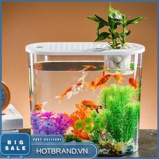 [Hotbrand.vn] Bát cá trong suốt bằng nhựa thủy canh trồng đất để trang trí văn phòng tại nhà