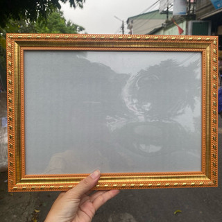 Khung ảnh, bằng khen A4, B4, A3 khung mạ vàng mặt mica