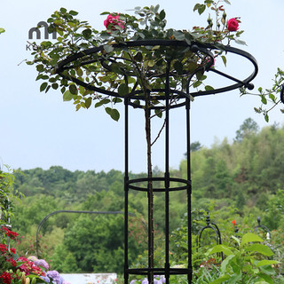 Vườn trellis dù tháp cây trellis cho cây leo núi trellis hỗ trợ diy leo trellis chậu hoa hỗ trợ