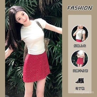 Chấm Bi Hợp Thời Trang 2024 Váy Phù Hợp Với Phong Cách Mới Tay Ngắn Cổ Tròn Phong Cách Hàn Quốc Giảm Tuổi Cao Cấp Hai Mảnh Phù Hợp Với Nữ Mùa Hè 2XQ9