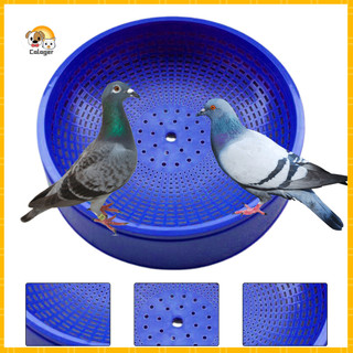 Tổ chim Xây dựng chắc chắn Tổ chim bằng nhựa thân thiện với môi trường Hộp tổ vẹt cho gia đình