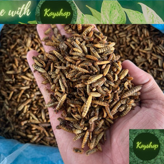 Sâu canxi, sâu canxi sấy phồng, sâu canxi cho cá và gà túi 20g - ấu trùng Ruồi lính đen sấy khô.