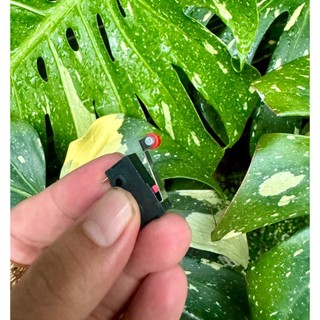Công tắc hành trình 5a 250v có bánh xe.