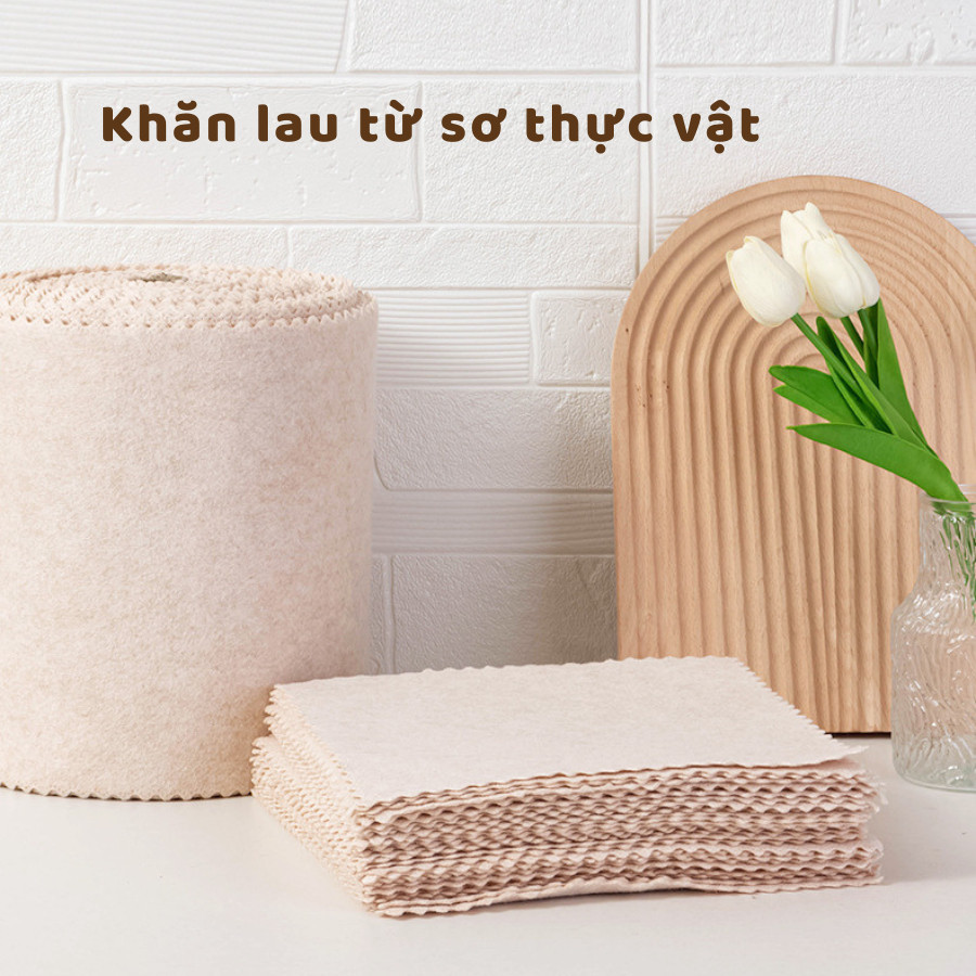 Set 10 Khăn Lau Xơ Mướp Sợi Tự Nhiên Thấm Hút Tốt, Khăn Lau Chén Dĩa Chống Dầu Mỡ, Tái Sử Dụng | BigBuy360 - bigbuy360.vn