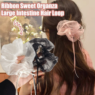 Vòng Tóc Nơ Ruy Băng - Mũ Công Chúa - Dây Buộc Tóc Ruột Lớn - Lưới, Organza, Phong Cách Ba Lê, Ngọt Ngào - Scrunchie Đuôi Ngựa Cao - Phụ Kiện Tóc