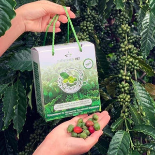 (Date Mới) Cà Phê Xanh Kháng Mỡ Giảm Cân Cafe Thiên Nhiên Việt Hộp 30 Gói
