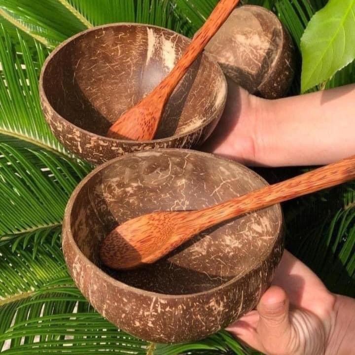 Combo. Bát gáo dừa + muỗng gỗ dừa được làm từ 100% gỗ gáo dừa tự nhiên