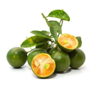 cây giống quất chua quả xanh (tắc chua quả xanh) làm nước chấm