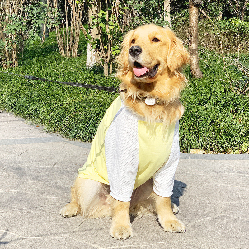 Quần Áo Cho Chó Lớn Mùa Hè Lưới Mỏng Quần Áo Golden Retriever Labrador Chó Vải Áo Thun Màu Vàng Lớn Thú Cưng Áo nam Nữ