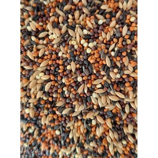1kg hạt trộn cho yến hót ngũ cốc cho yến hót ngũ cốc cho yến phụng ngũ cốc cho sắc nhật bảy màu thức ăn cho manh manh