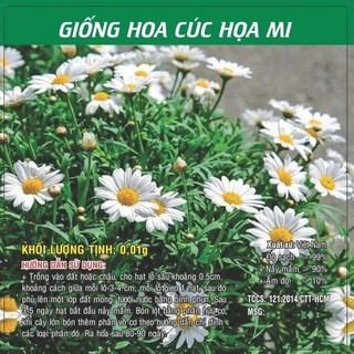 Hạt giống hoa Cúc Họa Mi TN