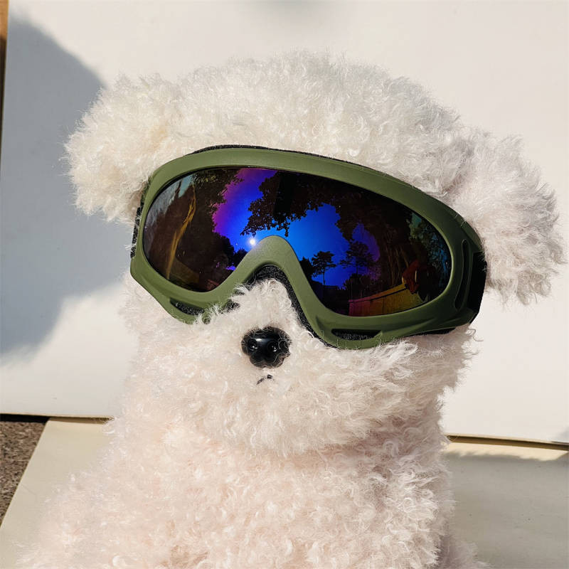 Pet Glasses Dog Goggles Corgi Teddy Sunglasses Dog Special Sunglasses Border Collie Jarre Aero Bull 