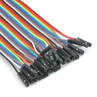 40 Dây Test Board Đực - Cái 30cm (có bán lẻ)