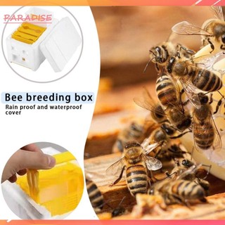 Hộp đựng côn trùng tổ ong King Bees Hộp nuôi ong Đồ dùng nuôi ong