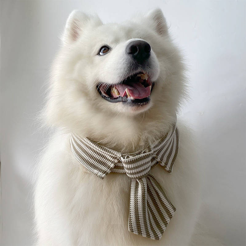 Pet Dog Brown Striped Bow Tie Samoyed Labrador Large, Medium and Small Dogs Scarf Bow Tie Shooting D