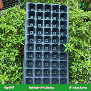 Khay ươm hạt giống 32, 50, 72, 105 , 128 , 200lỗ ( Loại Dày 120gram )