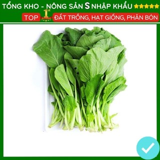 (5 Gói Tặng 1) Hạt giống rau cải ngọt cao sản F1 dễ trồng dễ chăm sóc gói 1000 hạt - nongsans