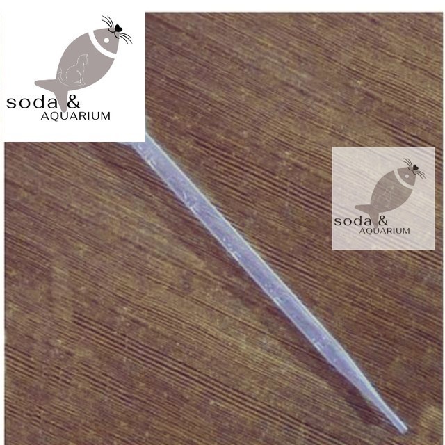 COMBO 5 Ống Hút Sữa 10ml - pipet 10ml