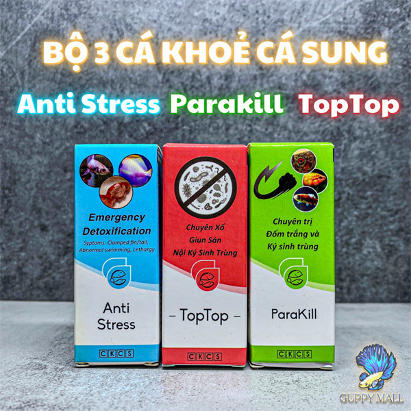 CKCS - Anti Stress, ParaKill, TopTop trị túm lắc, giảm stress, trị nấm cho cá cảnh, cá bảy màu Guppy