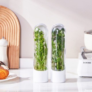 Cốc bảo quản rau mùi sáng tạo Hộp bảo quản rau củ Cốc bảo quản rau củ