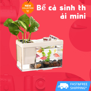 Beiduoyang Hộp đựng bút để bàn lưu trữ bể cá nhỏ cảnh quan nhỏ