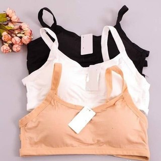 Combo 3 Áo Bra Thái Lan 3 Dây Cao Cấp
