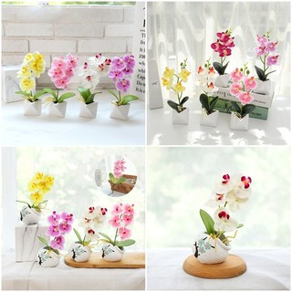 Ins Nhân Tạo Bướm Phong Lan Cây Cảnh Xanh Chậu Chụp Ảnh Chống Đỡ Sân Vườn Nhà Trang Trí Máy Tính Để Bàn Trang Trí