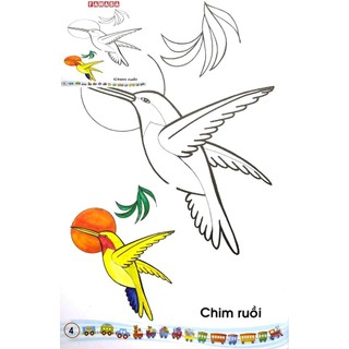 Sách tập tô màu - các loài chim